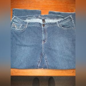 Lane Bryant Bootcut Jeans, Size 24 Regular, Bling on Back Pockets & Fron…